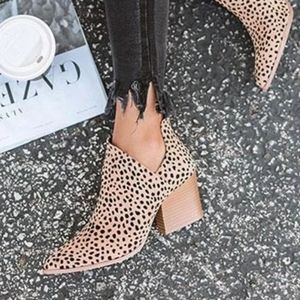 Leopard print Booties